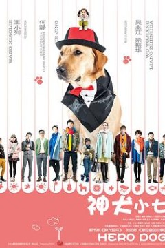 神犬小七第一季