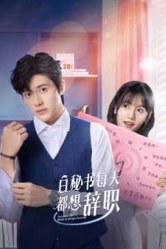 白秘书每天都想辞职