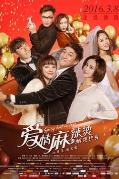 爱情麻辣烫之情定终身