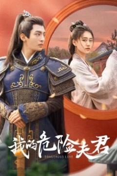 我的危险夫君