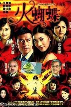 火蝴蝶2008