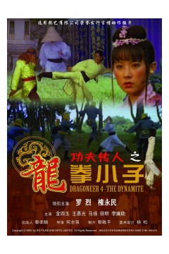 功夫传人之龙拳小子