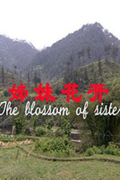 姊妹花开