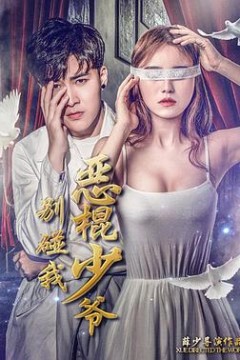 恶棍少爷别碰我