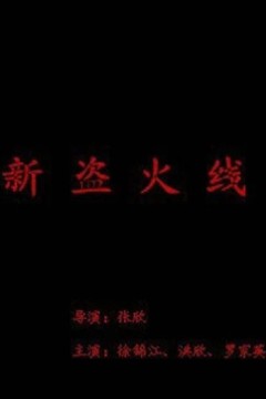 新盗火线