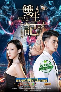 双生记之误入总裁身