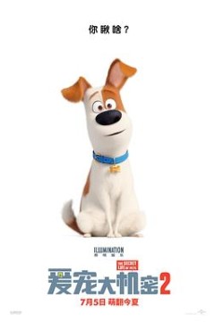 爱宠大机密2