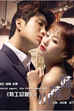 特工总裁小辣妹