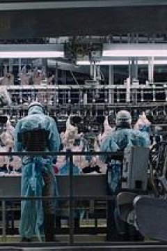 毒从口入：食物的丑陋真相