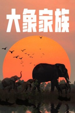 大象家族