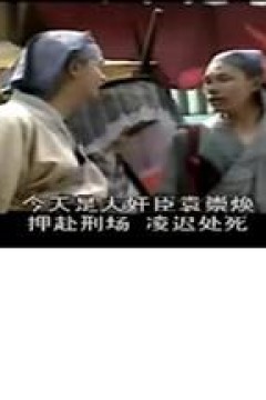 横行天下袁崇焕传国语