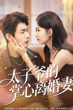 太子爷的掌心离婚妻