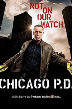 芝加哥警署第五季