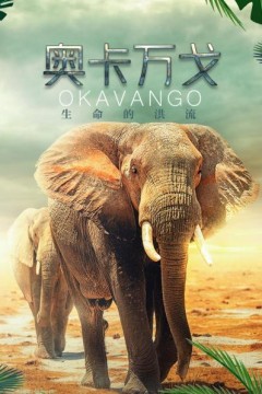 奥卡万戈：生命的洪流