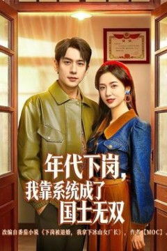 年代下岗，我靠系统成了国士无双