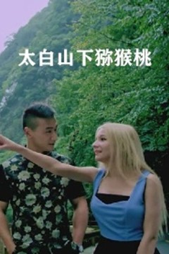 太白山下猕猴桃