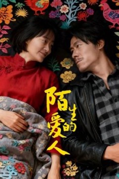 陌生的爱人