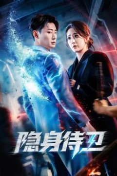 隐身侍卫