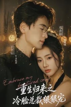 重生归来之冷脸总裁狠狠宠