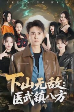 下山无敌：医武镇八方