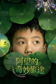 阿望的奇妙旅途