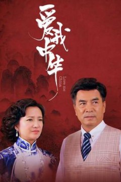 爱我中华
