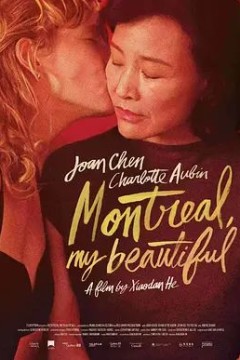 蒙特利尔，我的美人