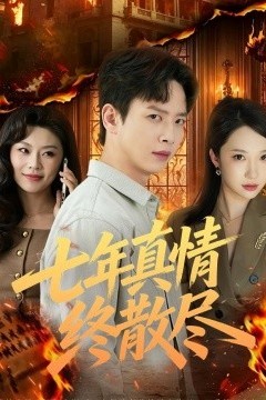 七年真情终散尽