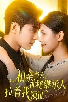 相亲当天，神秘继承人拉着我领证