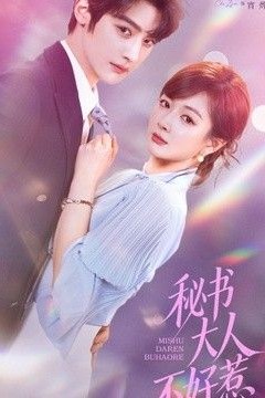 秘书大人不好惹