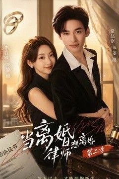 当离婚律师想离婚第二季