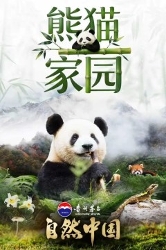 熊猫家园