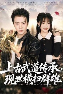 上古武道传承，现世横扫群雄