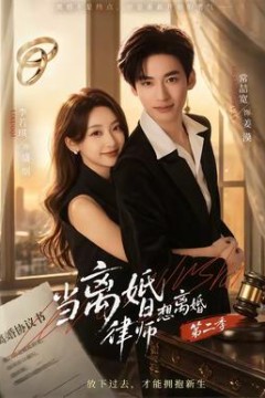 当离婚律师想离婚第2季
