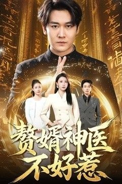 赘婿神医不好惹