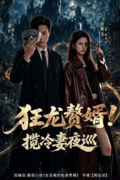 狂龙赘婿！揽冷妻夜巡