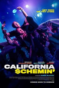 加州骗局