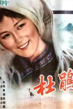 杜鹃声声