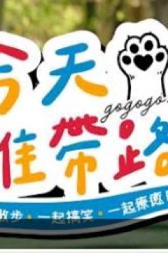 今天谁带路