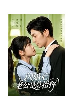闪婚后老公是总指挥