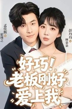 老板刚好爱上我