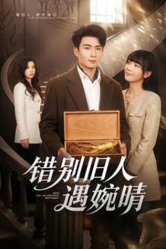 错别旧人遇婉晴