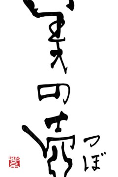 美之壶2018