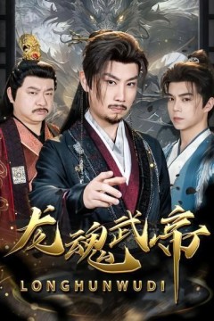 龙魂武帝