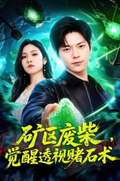 矿区废柴，觉醒透视赌石术