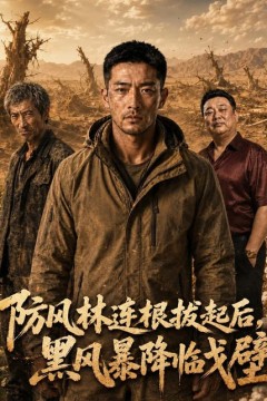 防风林连根拔起后，黑风暴降临戈壁