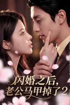 闪婚之后，老公马甲掉了2