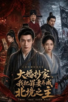 大婚抄家，我把罪妻养成北境之主