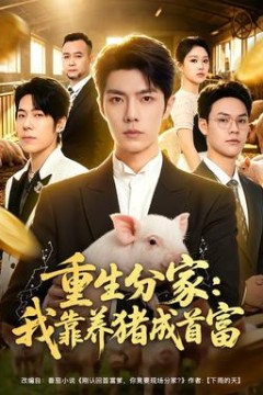 重生分家：我靠养猪成首富