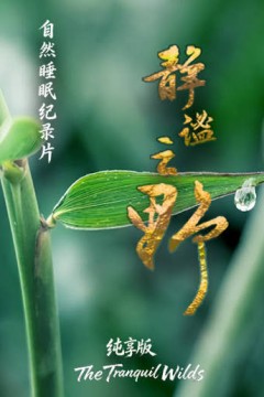 静谧之野纯享版